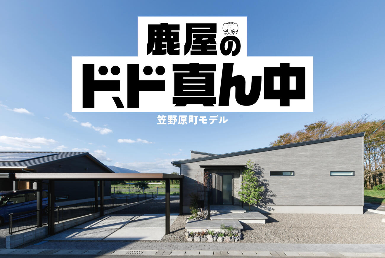 【当日ご予約受付中】鹿屋のド、ド真ん中カーテンいらない家